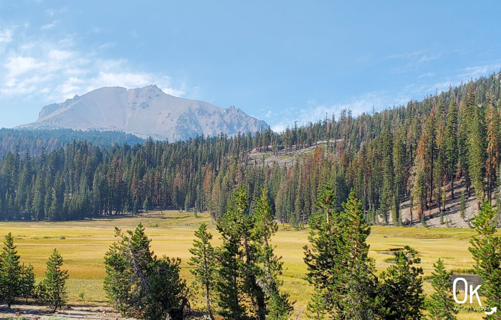 Lassen Volcanic National Park meadow | OK Which Way