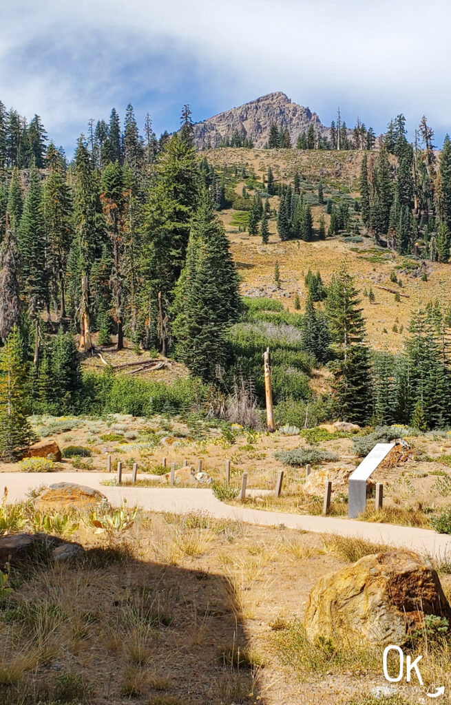 Lassen Volcanic National Park geological trail | OK Which Way