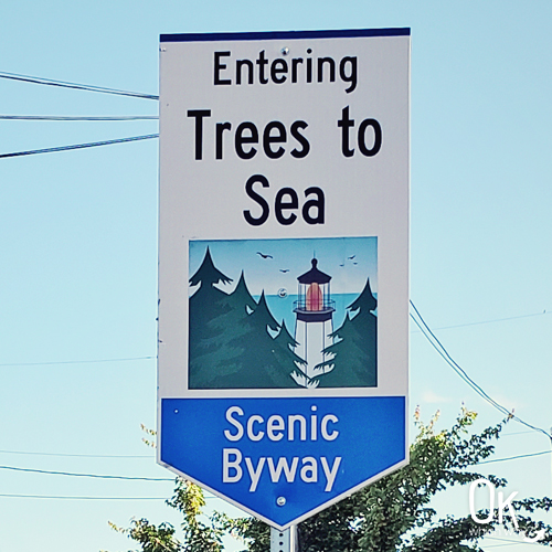 Trees to Sea Scenic Byway in Oregon | OK Which Way
