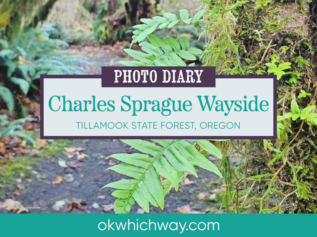 Charles Sprague Wayside in Oregon | Ok Which Way