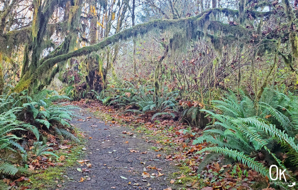 Charles Sprague Memorial Wayside near Tillamook | Ok Which Way