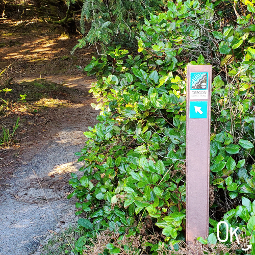 Oregon Coast Trail at Manhattan Beach | OK Which Way