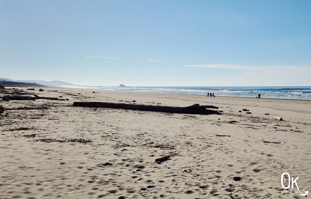 Manhattan Beach State Recreation Site near Rockaway | OK Which Way