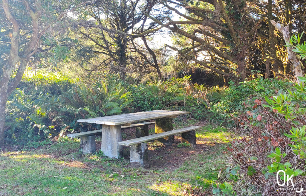 Manhattan Beach State Recreation Site in Oregon | OK Which Way