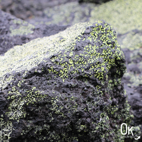 Dee Wright Observatory lichen | OK Which Way