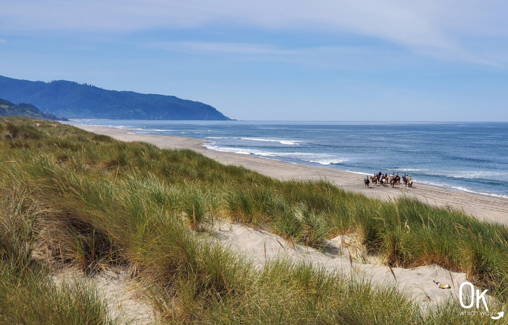 Horses and riders on the beach at Bob Straub State Park in Oregon | OK Which Way