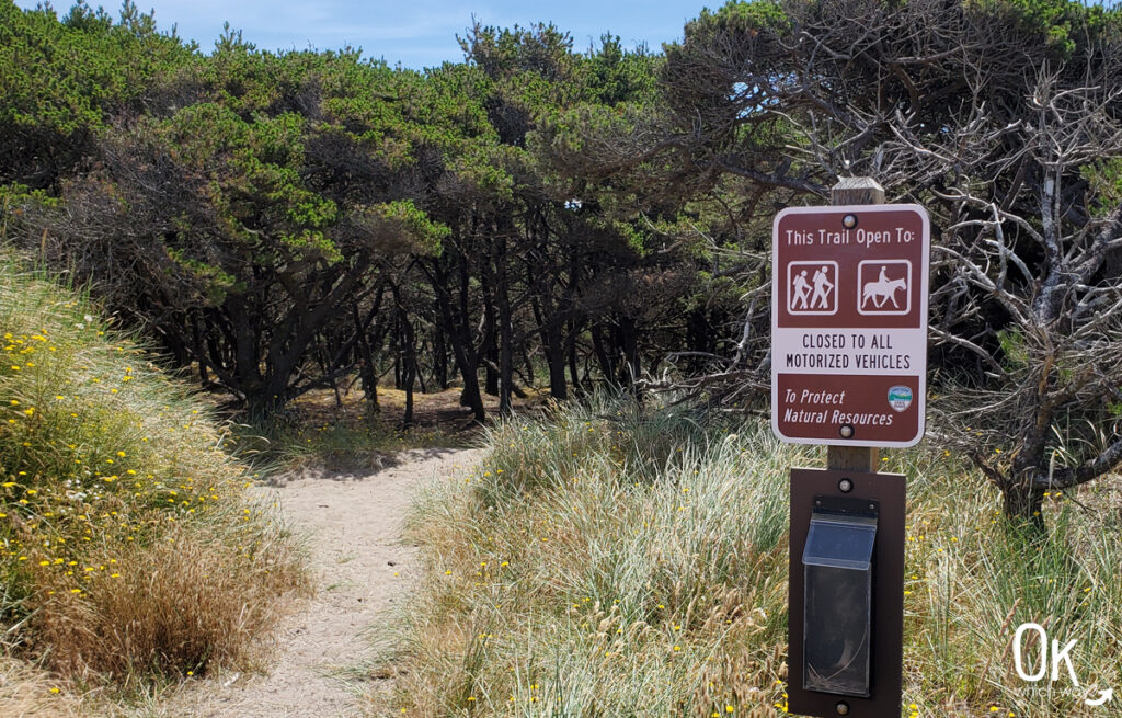 Trails at Bob Straub State Park in Oregon | OK Which Way