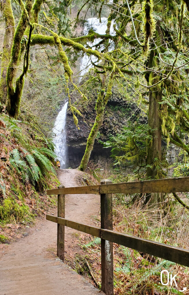 Upper Latourell Falls Trail Review | Ok Which Way