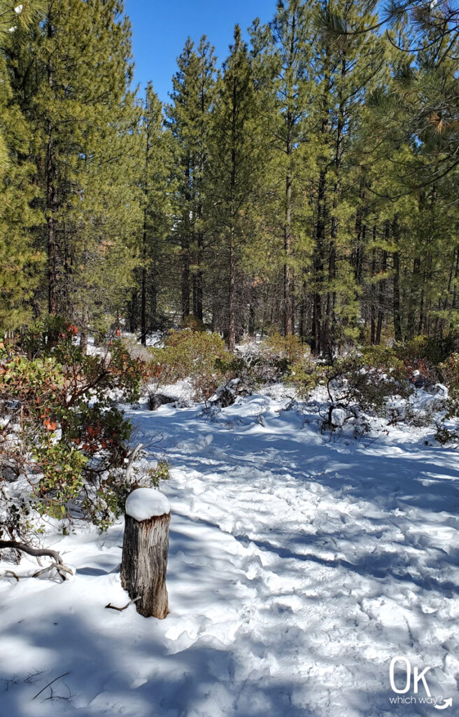 Whychus Creek Overlook Trail snow Oregon - OK Which Way