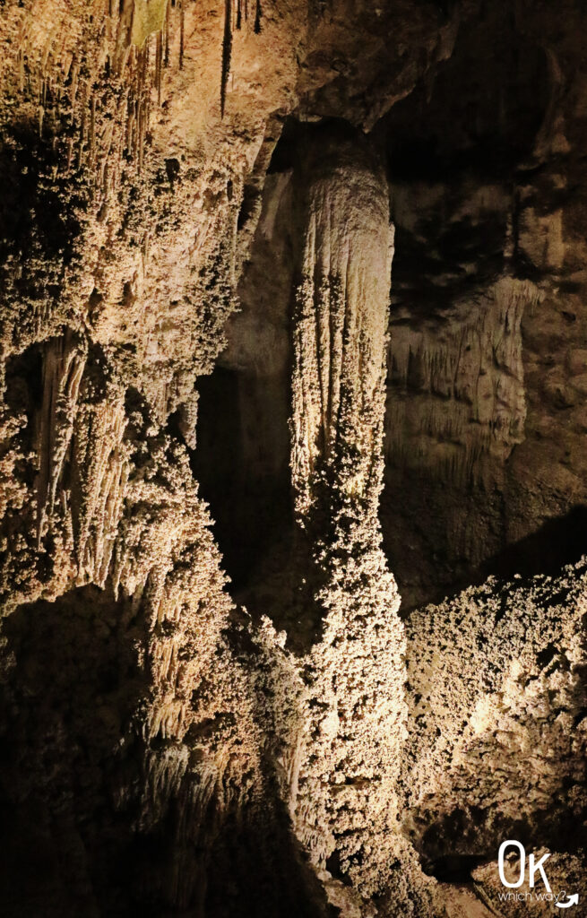 Carlsbad Caverns National Park | OK Which Way