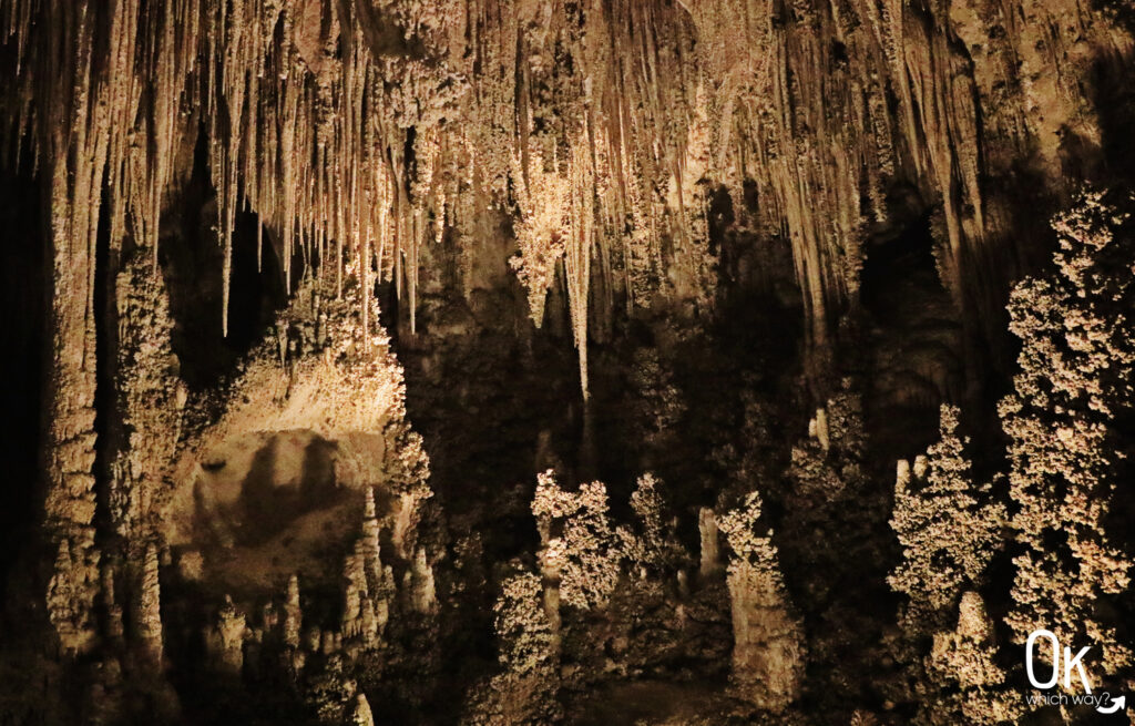 Cave formations at Carlsbad Caverns National Park | OK Which Way