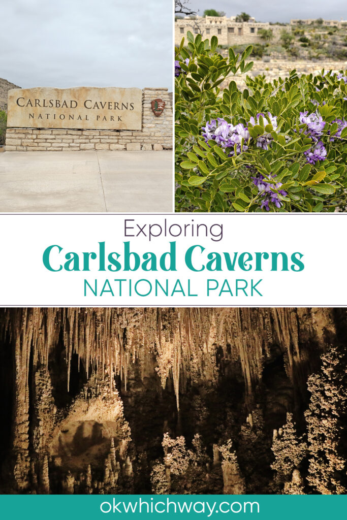 Exploring Carlsbad Caverns National Park for the day in New Mexico | OK Which Way