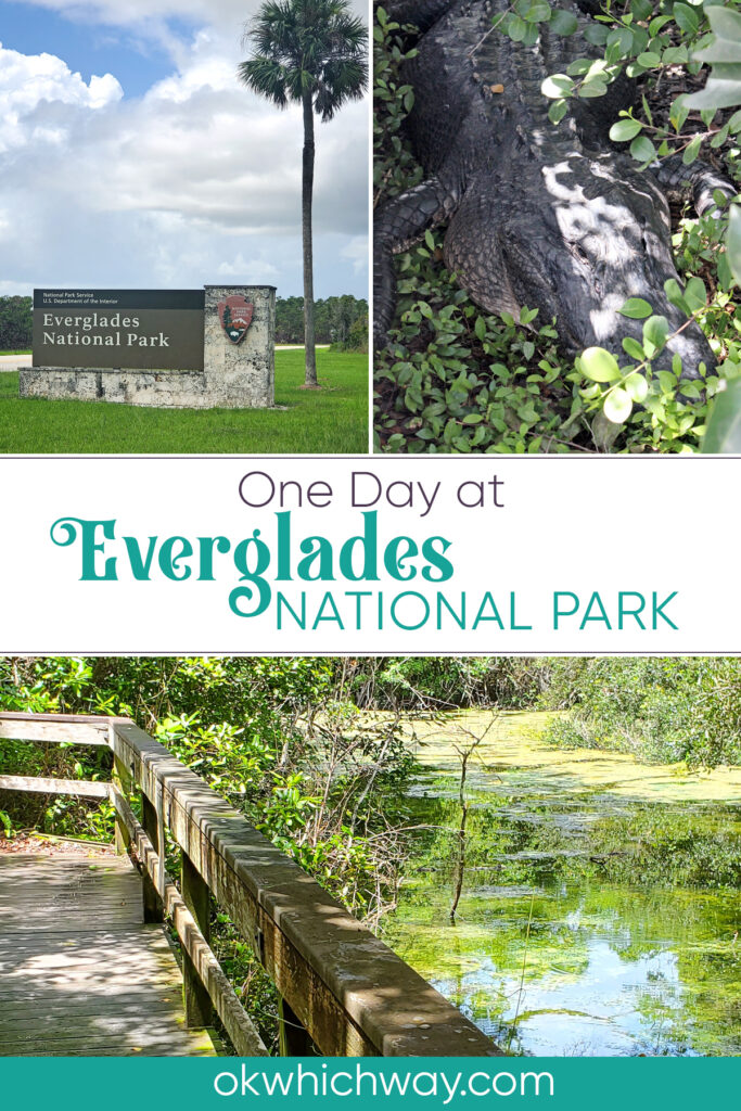 One Day at Everglades National Park visiting the Shark Valley and Royal Palm areas of the park | OK Which Way