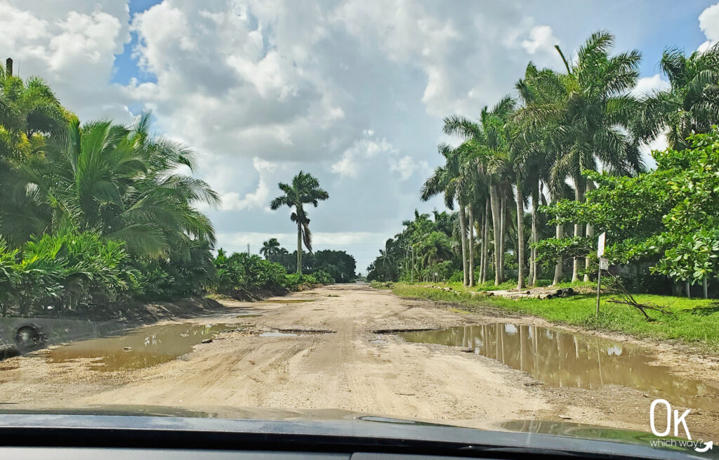 One Day at Everglades National Park | OK Which Way