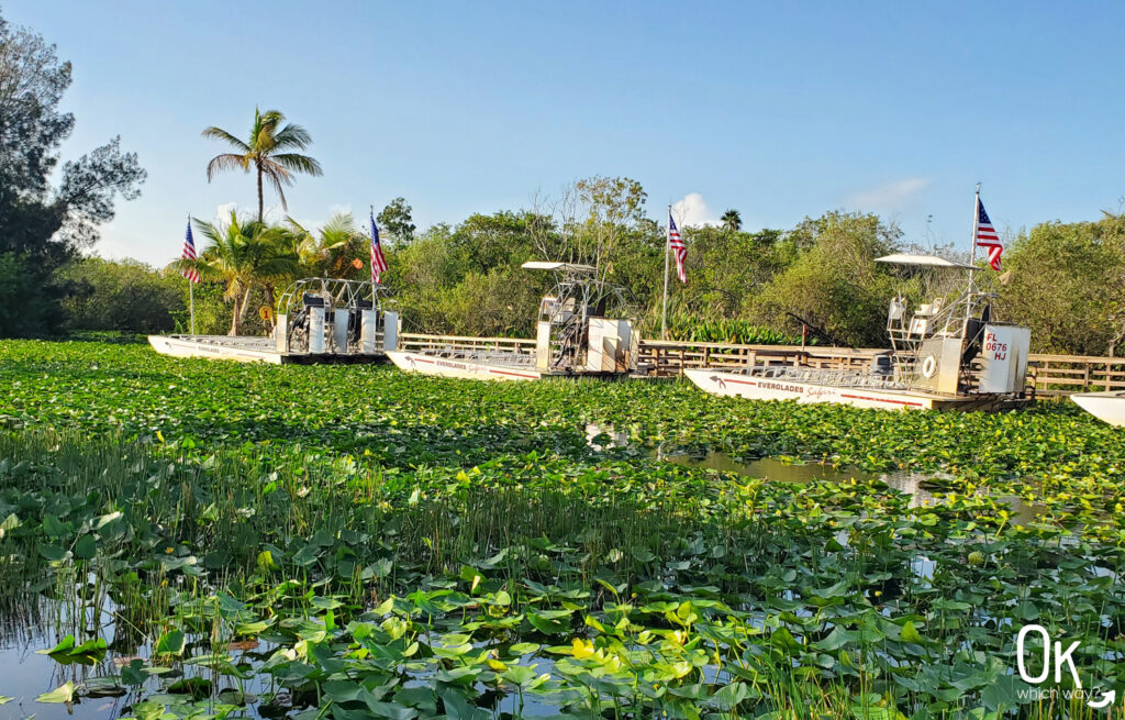 Airboat Tour near Everglades National Park | OK Which Way