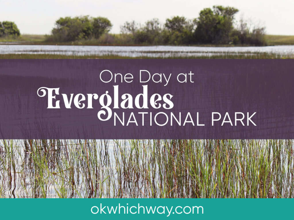 One Day at Everglades National Park | OK Which Way