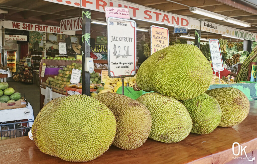 Robert is Here fruit stand near Everglades National Park | OK Which Way