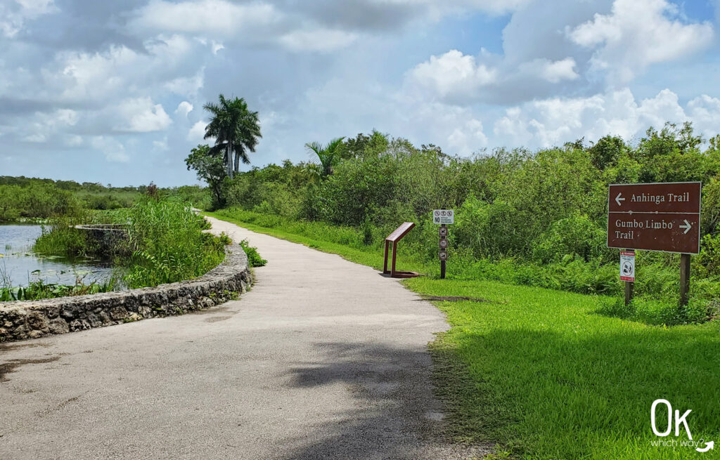 Royal Palm area of the Everglades | OK Which Way