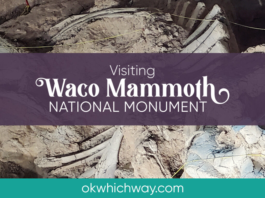 Visiting Waco Mammoth National Monument | OK Which Way