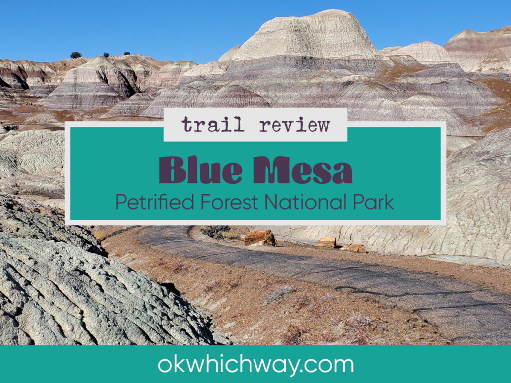 Blue Mesa Trail Review at Petrified Forest National Park | OK Which Way