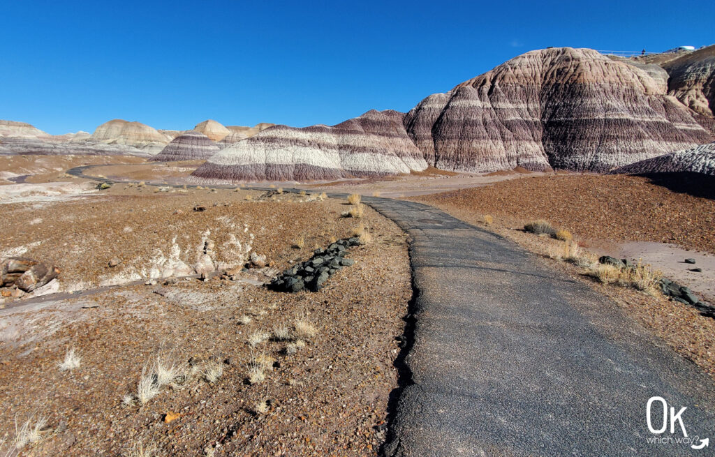 Blue Mesa Trail Review at Petrified Forest National Park | OK Which Way