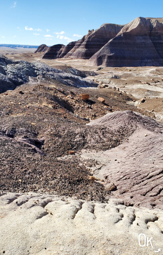 Blue Mesa Views at Petrified Forest National Park | OK Which Way