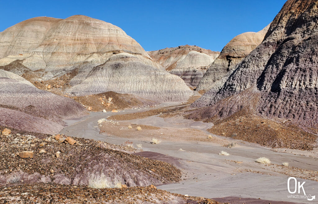 Blue Mesa Trail Review at Petrified Forest National Park | OK Which Way