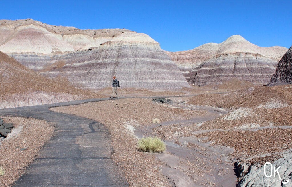 Hiking the Blue Mesa Trail at Petrified Forest National Park | OK Which Way