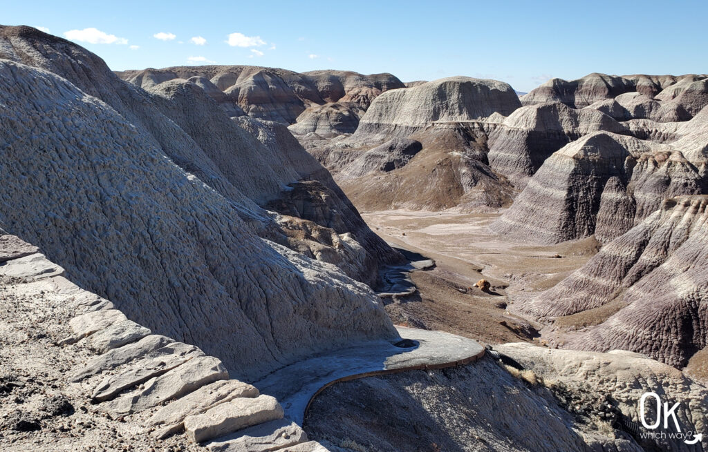 Blue Mesa Trail frost | OK Which Way