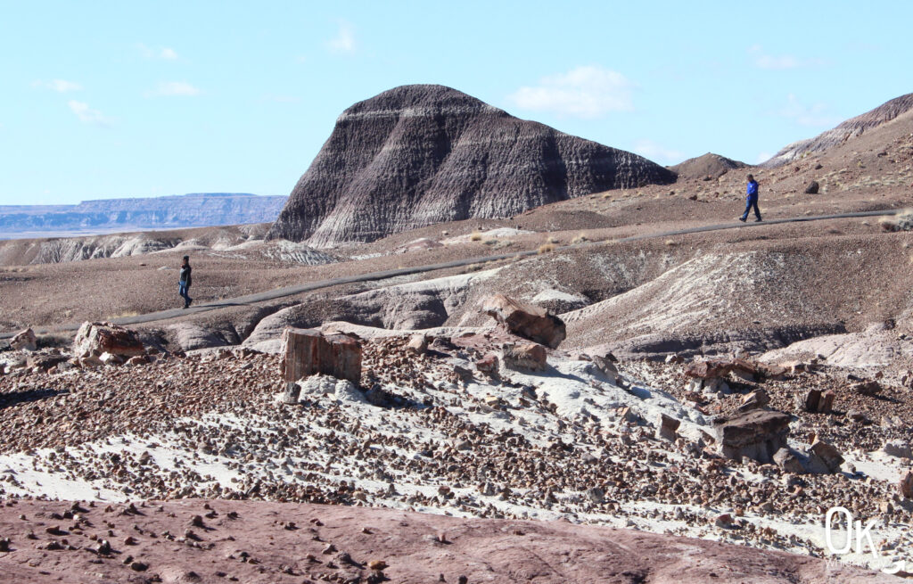 Blue Mesa Trail views in Arizona | OK Which Way