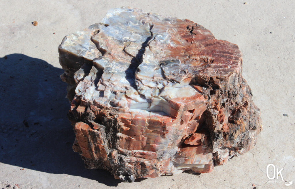 Petrified wood along the Blue Mesa Trail | OK Which Way