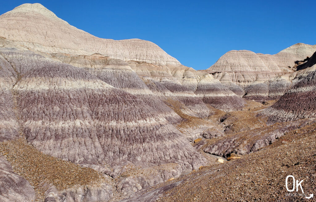 Blue Mesa Trail Badlands | OK Which Way