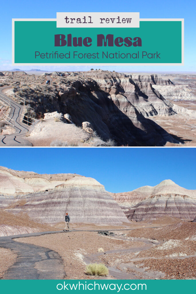 Blue Mesa Trail Review at Petrified Forest National Park | OK Which Way