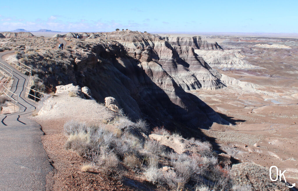 Blue Mesa Trail Review | OK Which Way