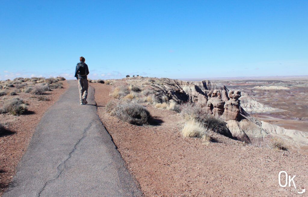 Blue Mesa Trail Review at Petrified Forest National Park | OK Which Way