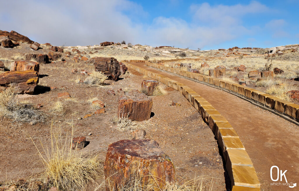 Giant Logs Trail at Petrified Forest National Park | OK Which Way