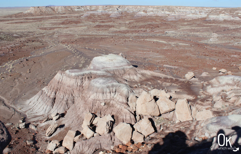 Petrified Forest National Park, Arizona | OK Which Way