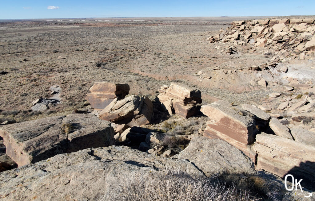 Newspaper Rock at Petrified Forest National Park | OK Which Way