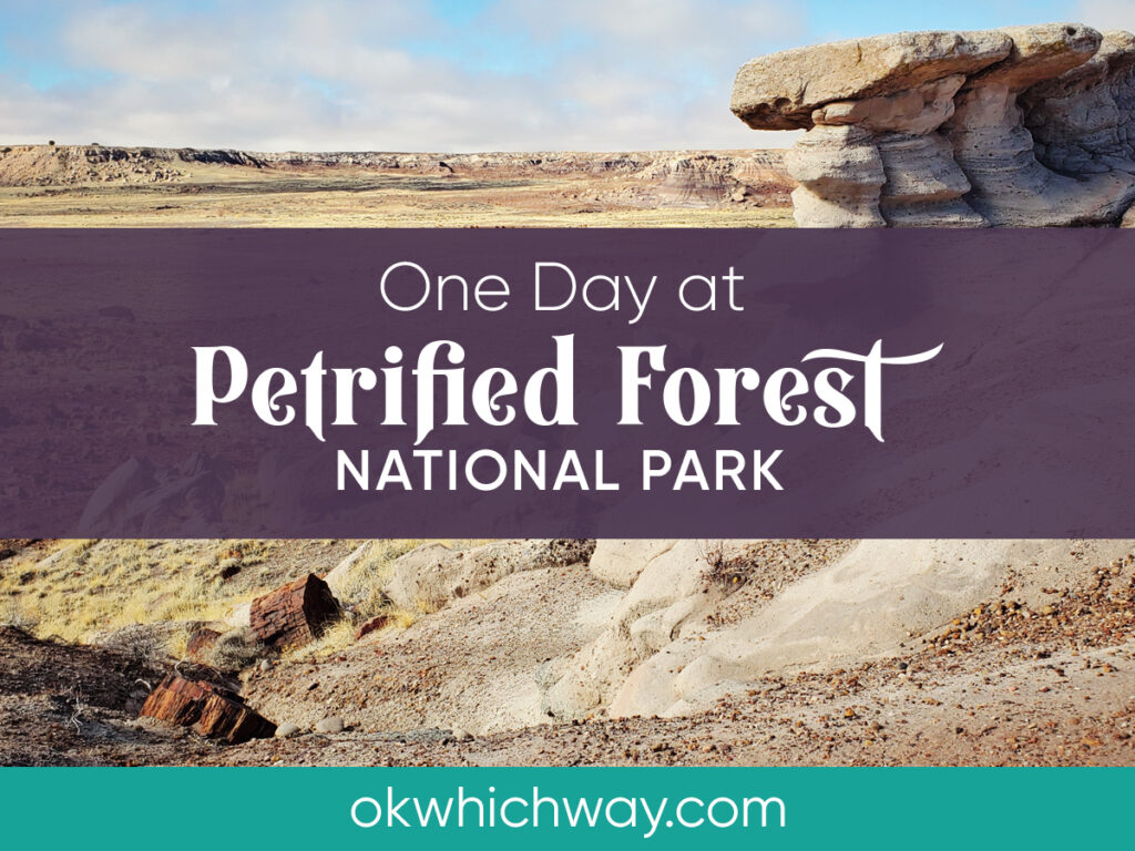 One Day at Petrified Forest National Park | OK Which Way