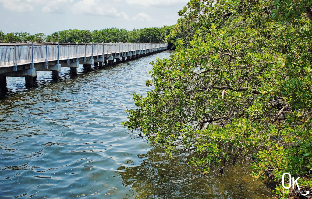 Convoy Point at Biscayne National Park | OK Which Way