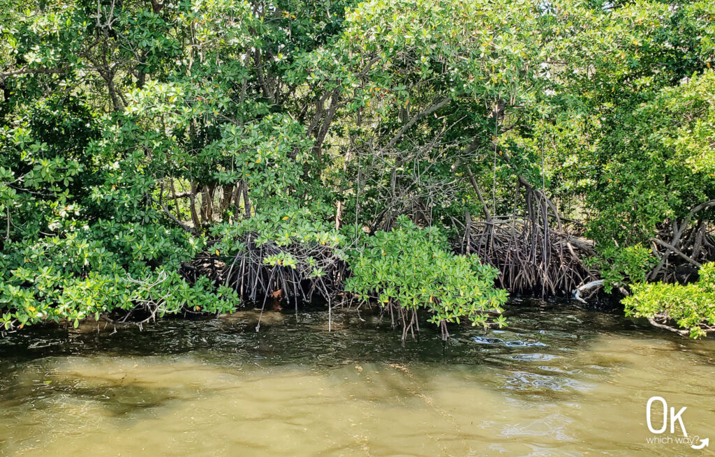 Visiting Biscayne National Park | OK Which Way