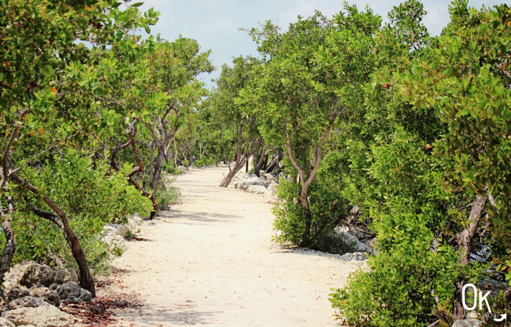 Convoy Point Jetty Trail at Biscayne National Park in Florida | OK Which Way