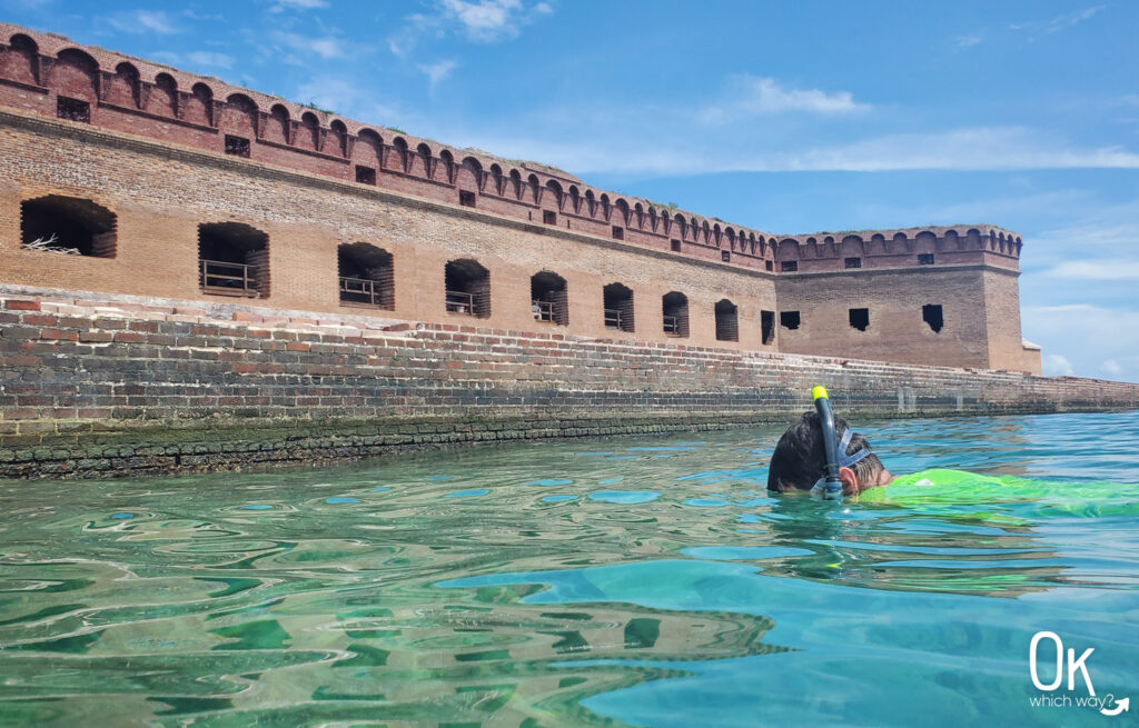 Snorkeling the moat wall at Dry Tortugas National Park | Ok Which Way