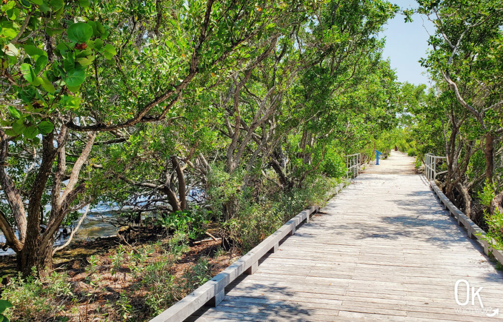 Jetty Walk at Biscayne National Park | OK Which Way