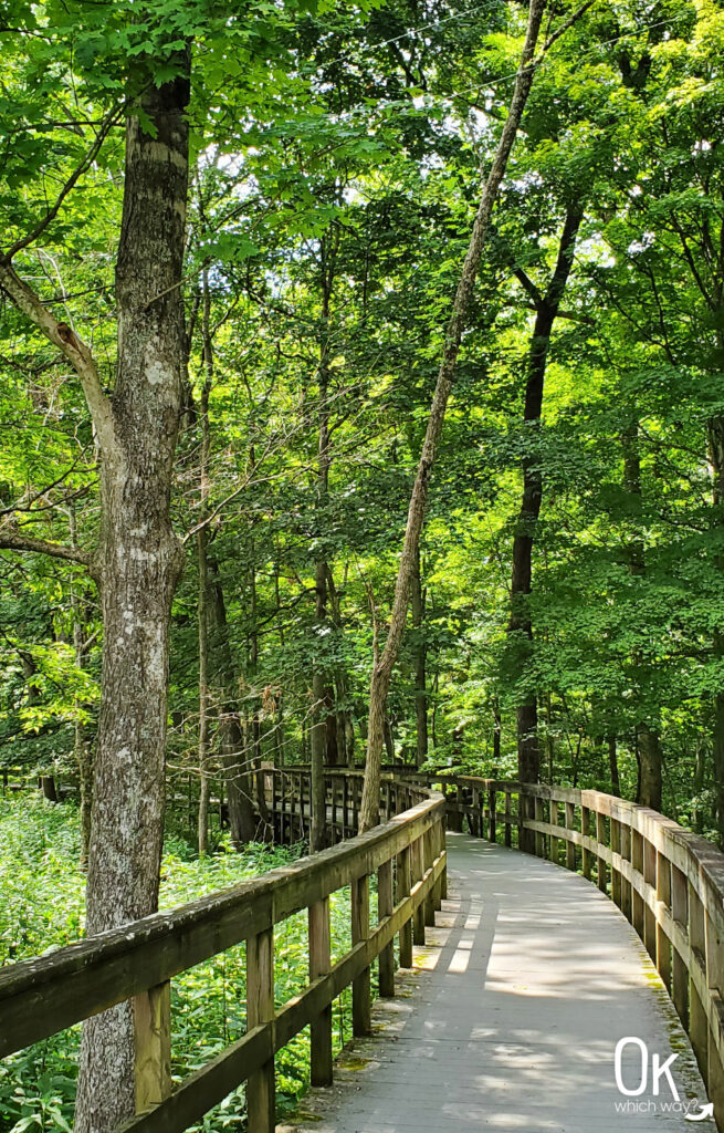 Exploring Mammoth Cave National Park in Kentucky | OK Which Way