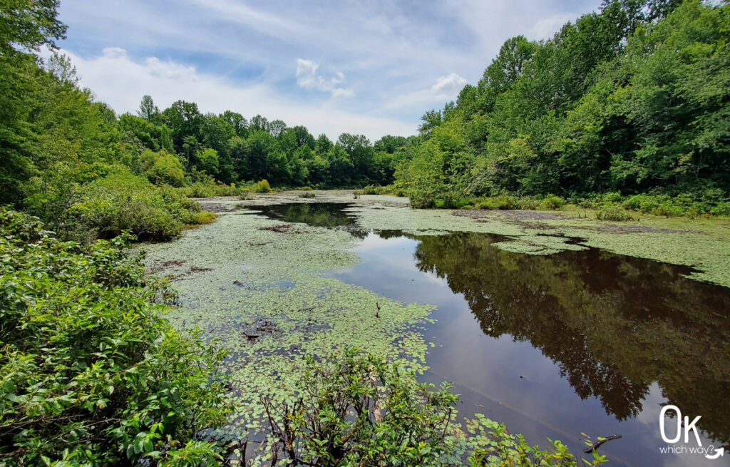 Mammoth Cave National Park Sloans Crossing Pond | OK Which Way