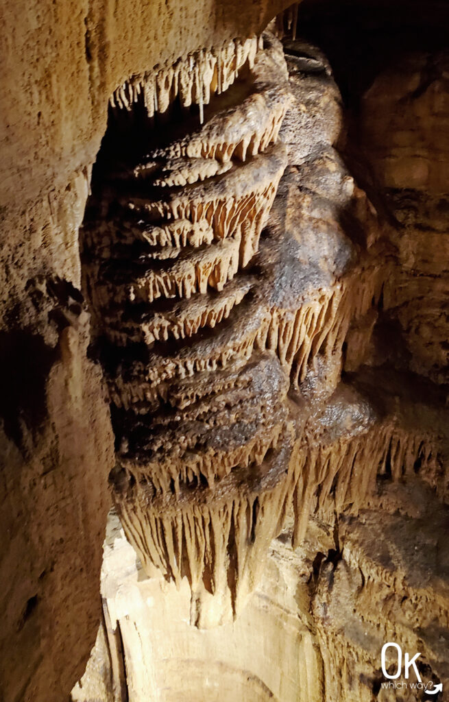 Exploring Mammoth Cave National Park | OK Which Way