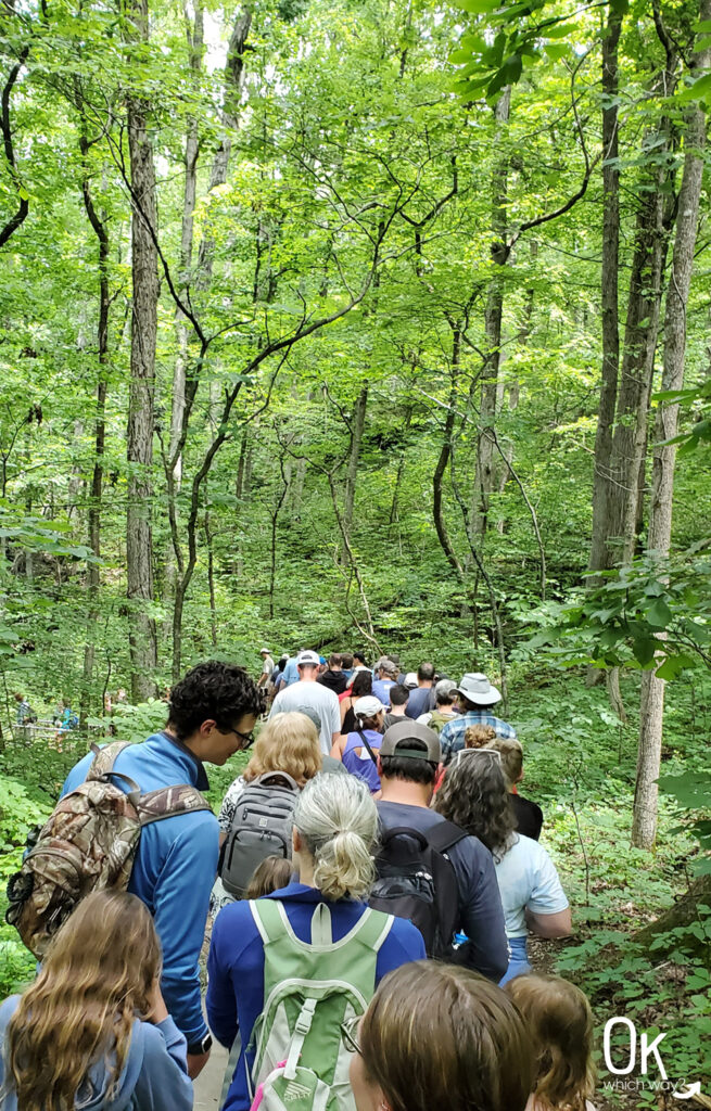 Mammoth Cave National Park tour | OK Which Way