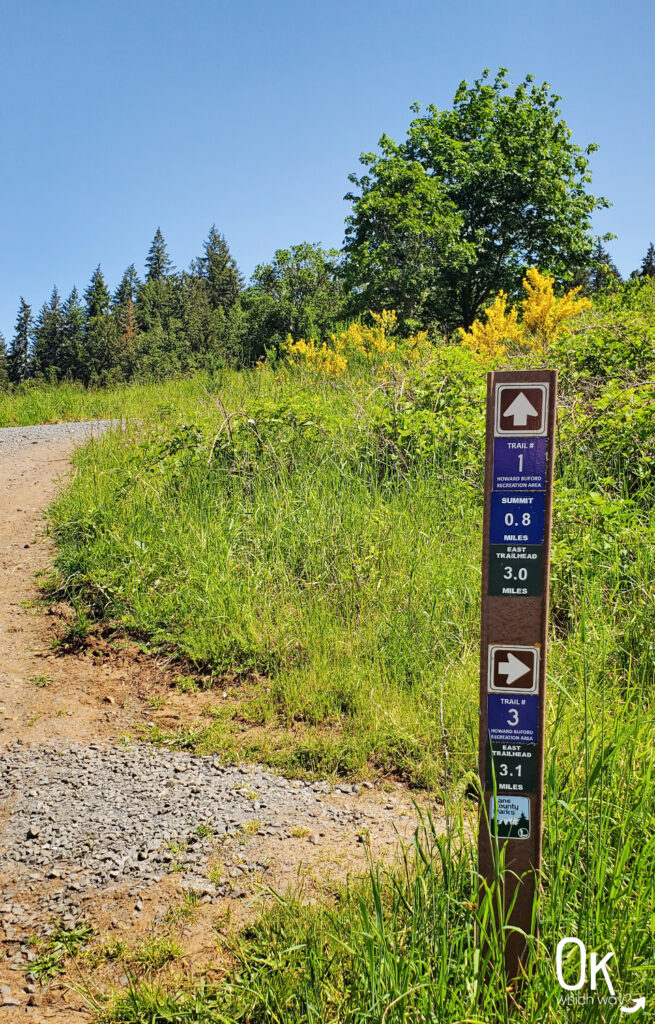 Mount Pisgah Summit Trail marker | OK Which Way