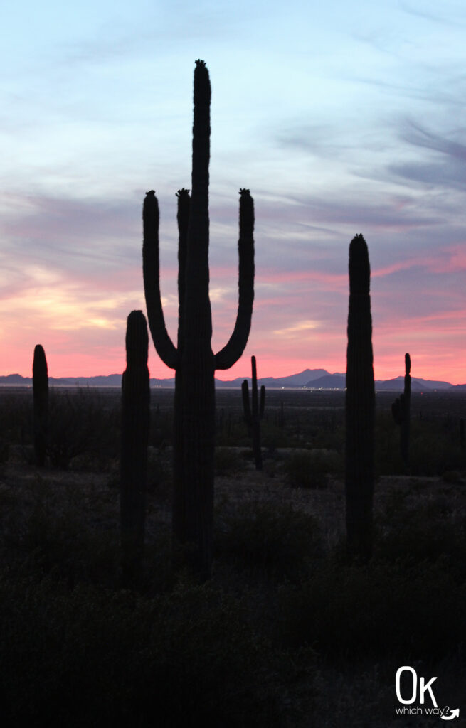 Saguaro silhouette at Picacho Peak State Park | OK Which Way